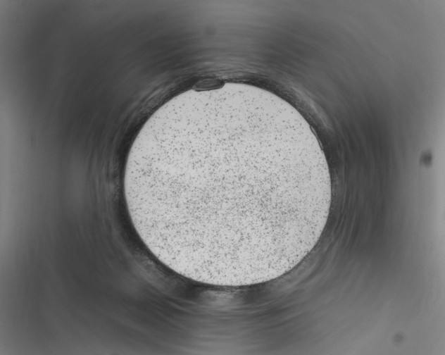 X0000116880170201001191752
