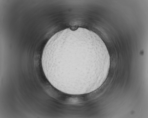 X0000116880171201001191752