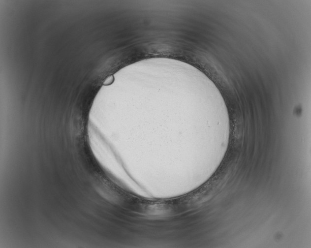 X0000116880173201001191752