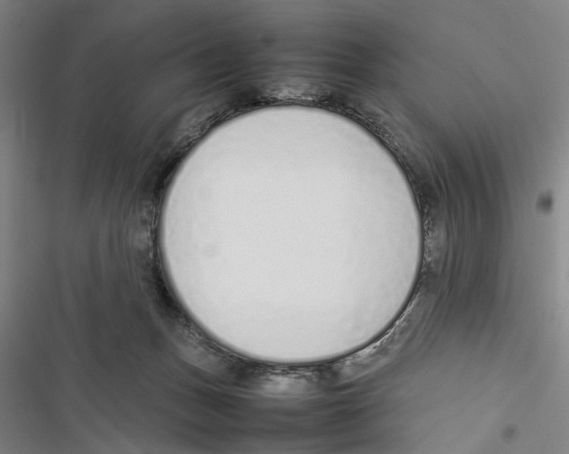 X0000116880175201001191752