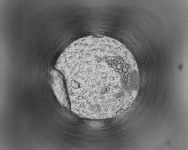 X0000116880183201001191752