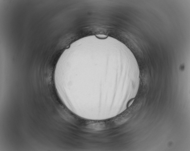 X0000116880185201001191752