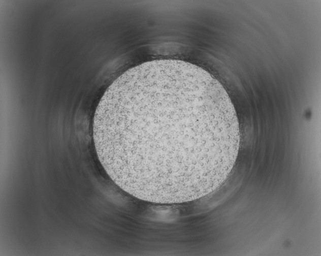 X0000116880187201001191752