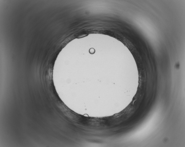 X0000116880190201001191752