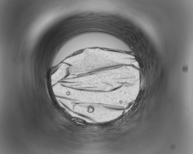 X0000116880195201001191751