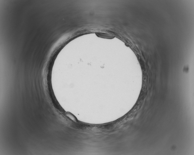 X0000116880197201001191751