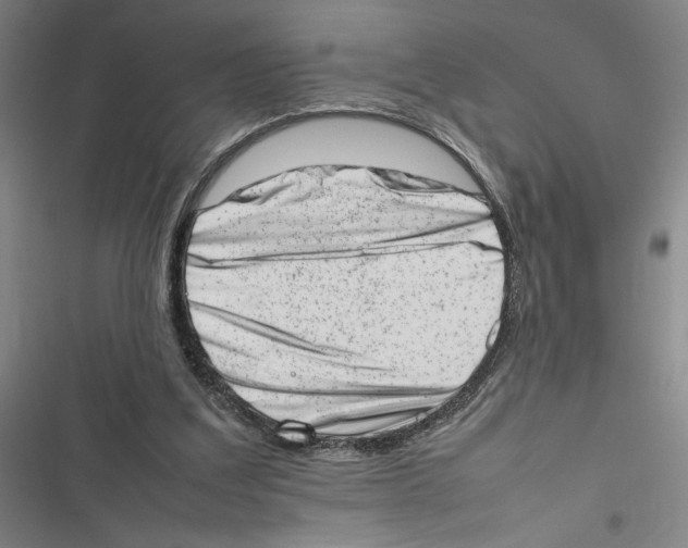 X0000116880203201001191751