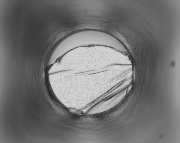 X0000116880205201001191751