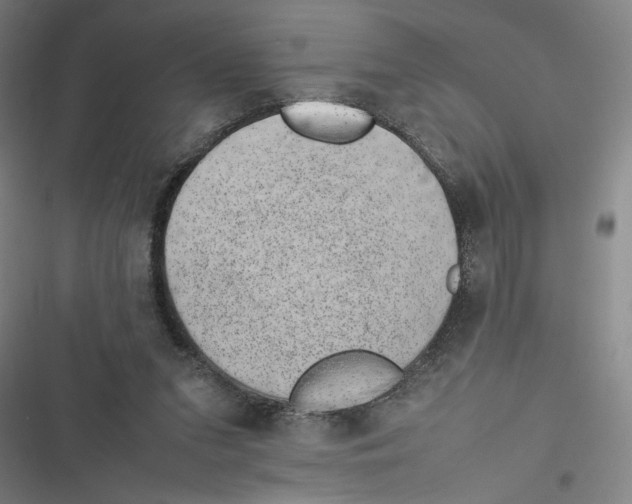 X0000116880207201001191751