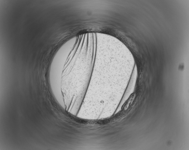 X0000116880209201001191751