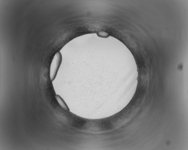 X0000116880211201001191751