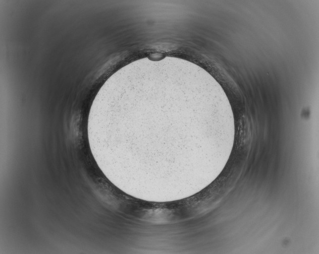 X0000116880212201001191751