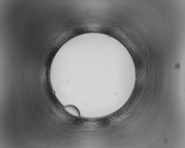 X0000116880213201001191751