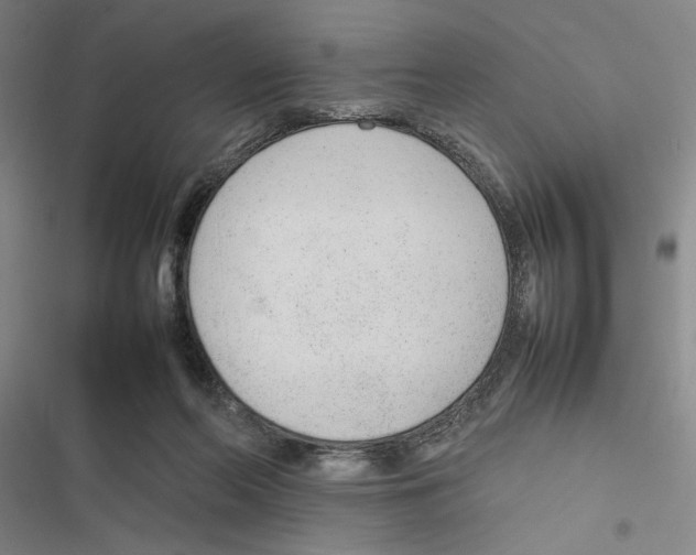 X0000116880214201001191751