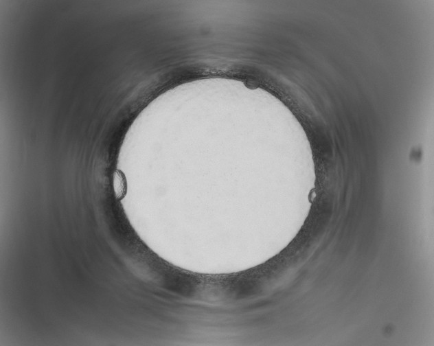 X0000116880215201001191751