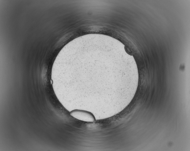 X0000116880216201001191751