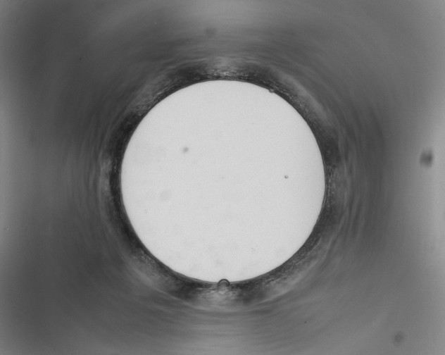 X0000116880217201001191751