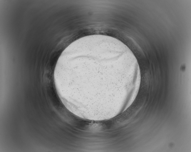 X0000116880218201001191751