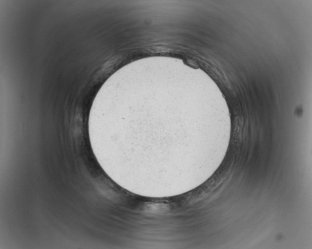X0000116880220201001191751