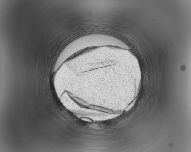 X0000116880221201001191751