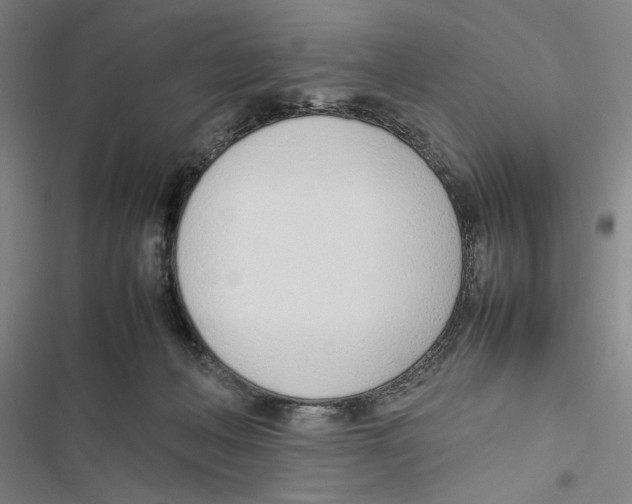 X0000116880222201001191751