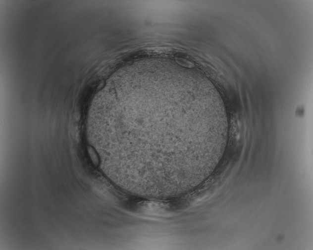 X0000116880223201001191751