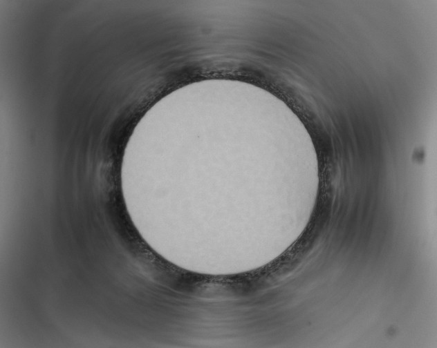 X0000116880224201001191751