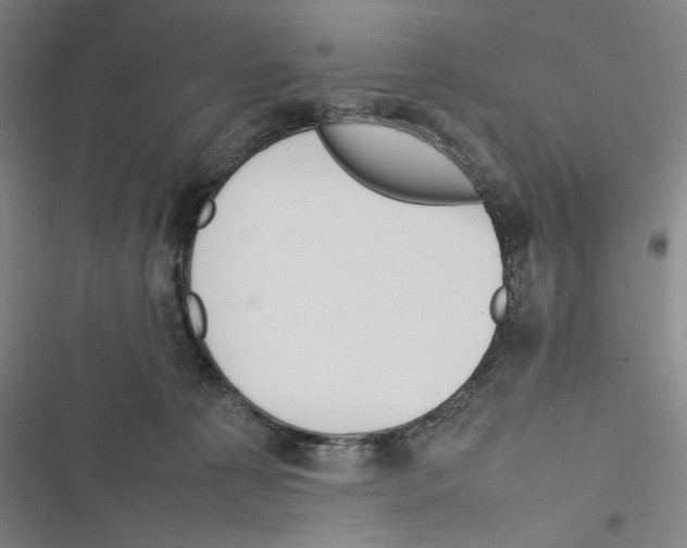 X0000116880225201001191751