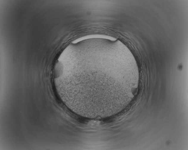 X0000116880227201001191751