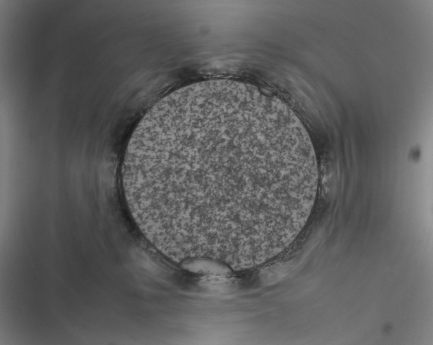 X0000116880231201001191751