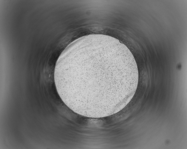 X0000116880234201001191751