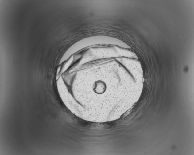 X0000116880235201001191751