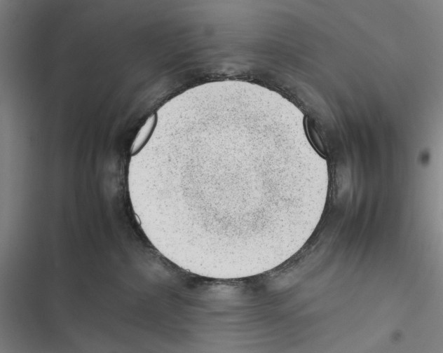 X0000116880236201001191751
