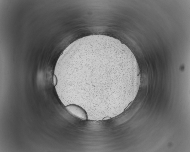 X0000116880238201001191751