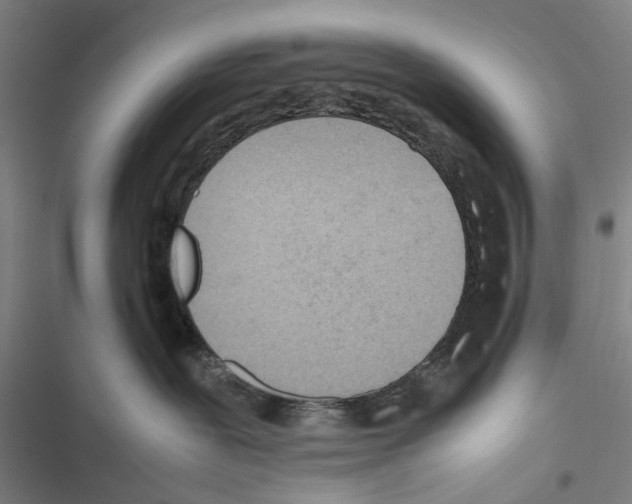 X0000116880239201001191751