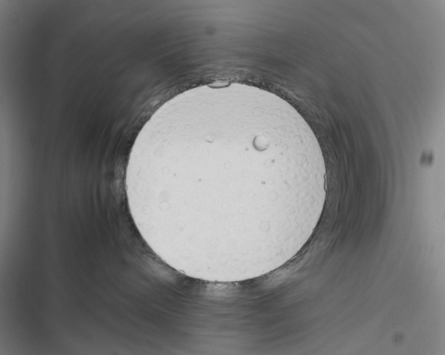X0000116880240201001191751