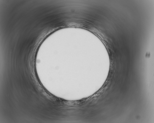 X0000116880241201001191750