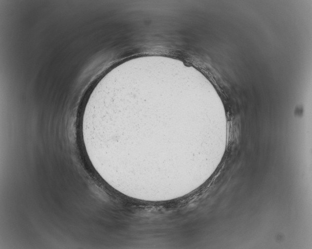 X0000116880243201001191750