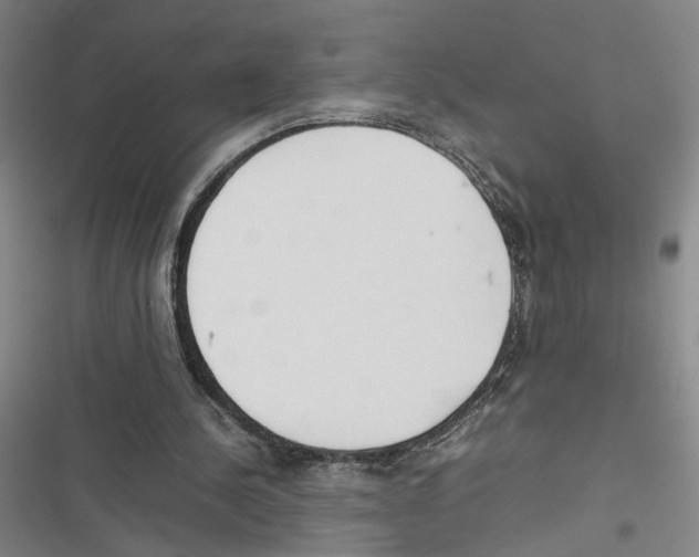 X0000116880244201001191750
