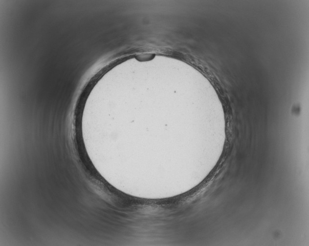 X0000116880246201001191750
