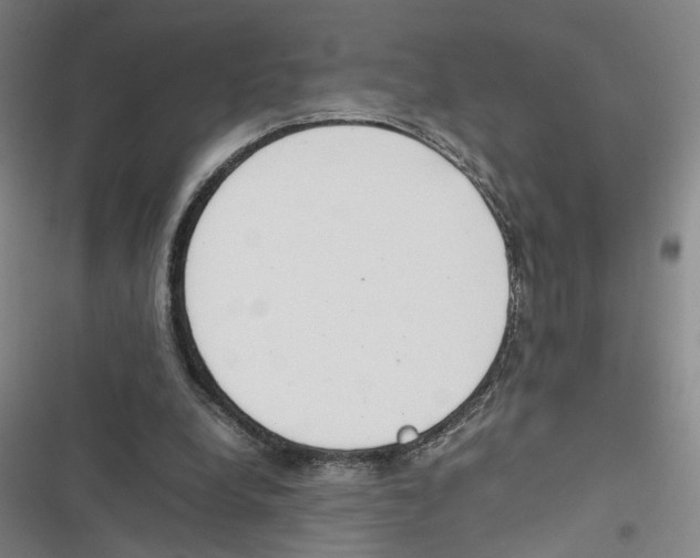 X0000116880248201001191750