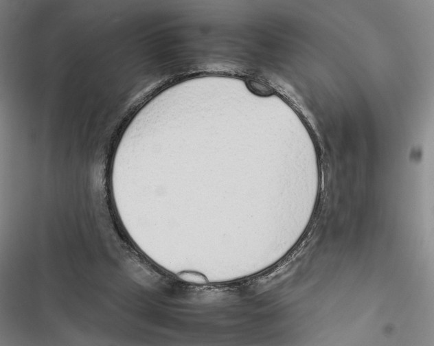 X0000116880249201001191750