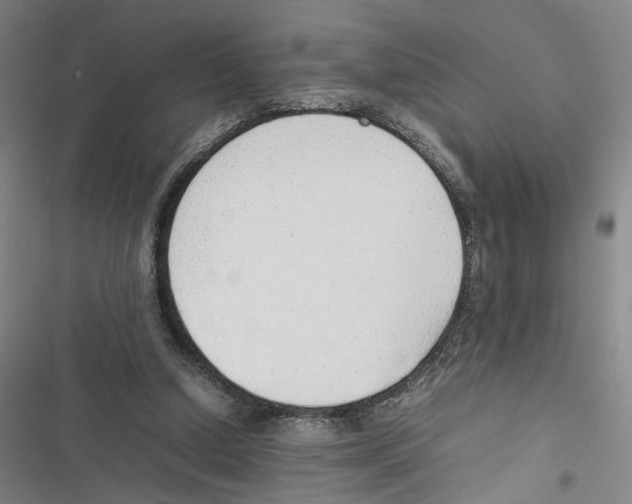 X0000116880250201001191750
