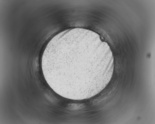 X0000116880251201001191750