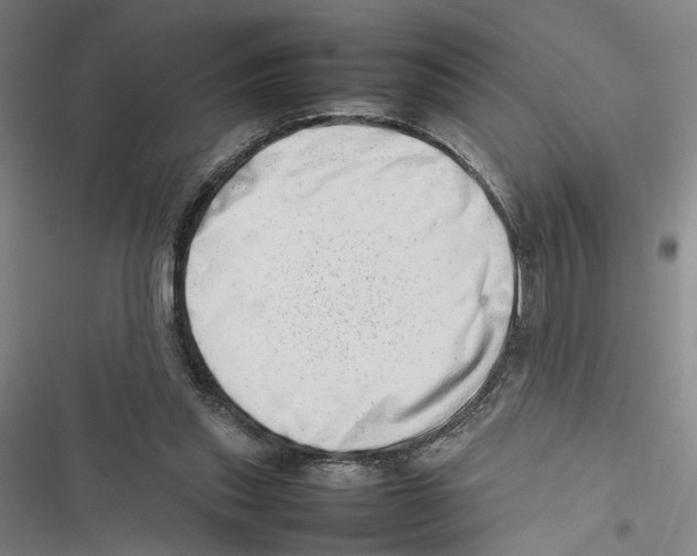 X0000116880253201001191750