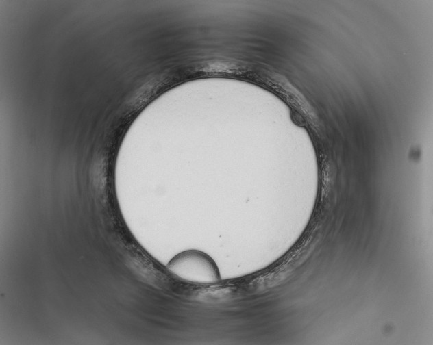 X0000116880257201001191750