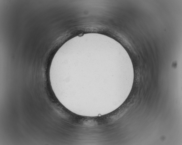 X0000116880258201001191750