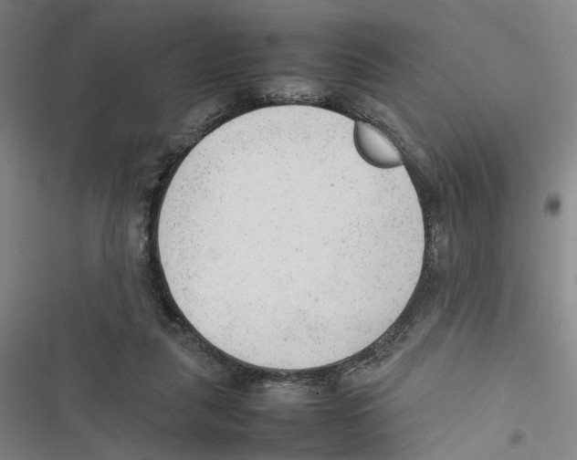 X0000116880259201001191750