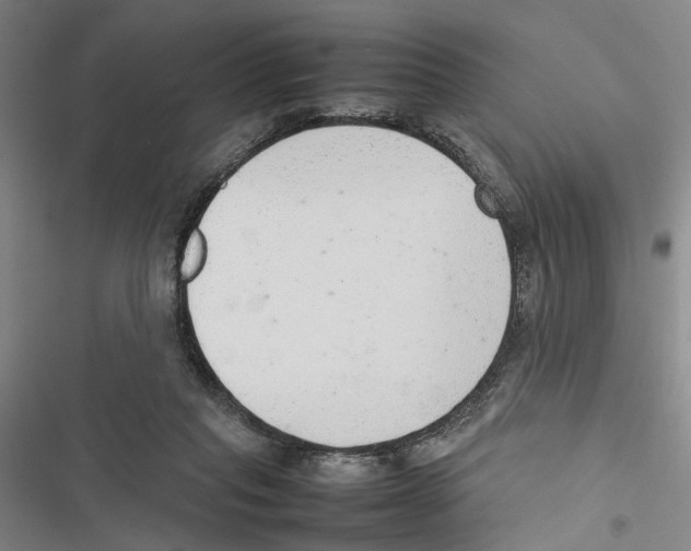 X0000116880261201001191750