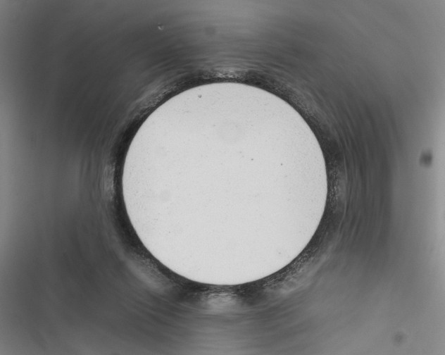 X0000116880262201001191750